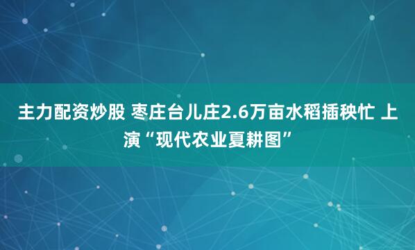 主力配资炒股 枣庄台儿庄2.6万亩水稻插秧忙 上演“现代农业夏耕图”